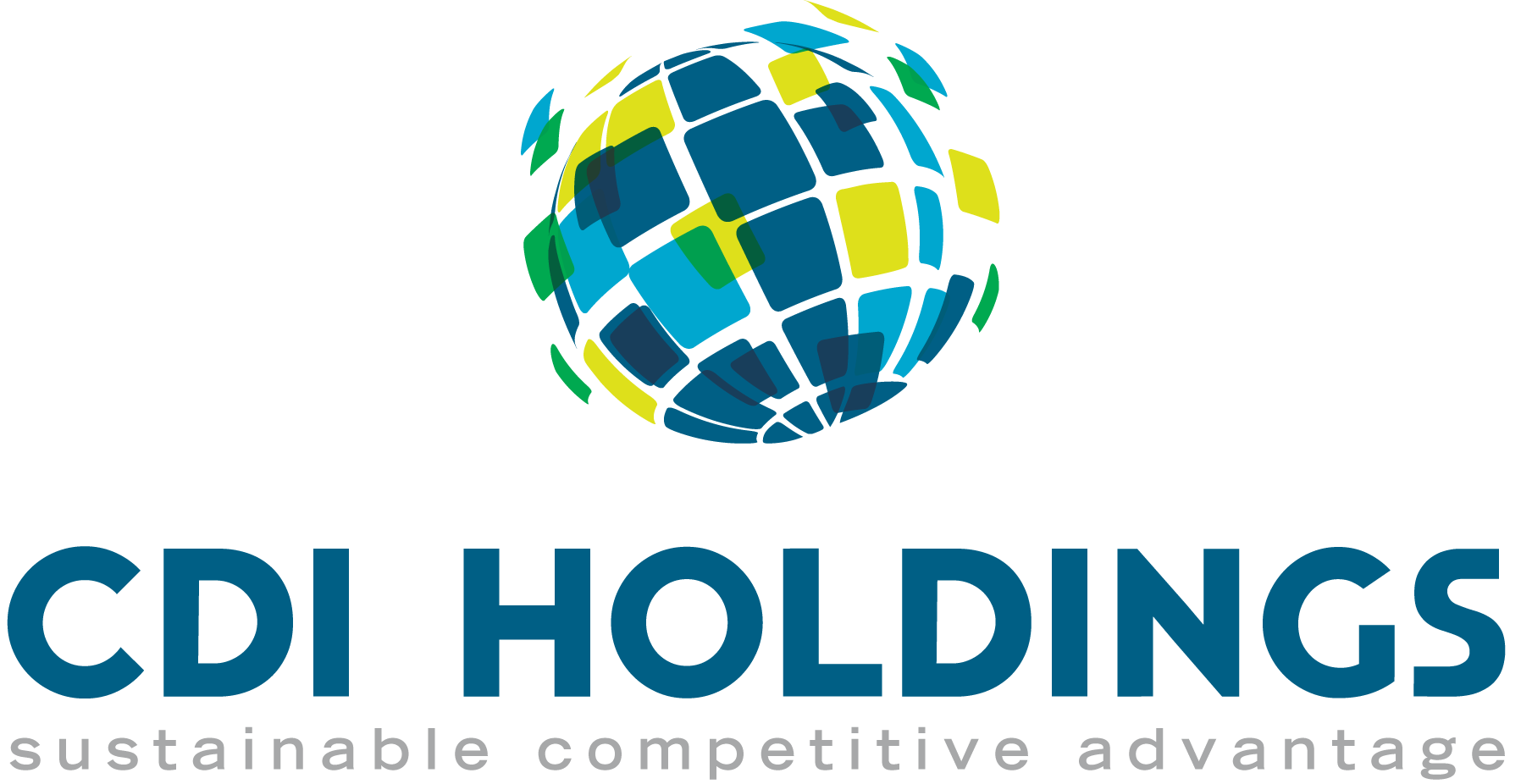 CDI Holdings